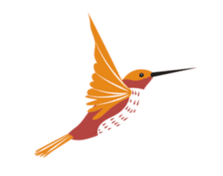 Un dessin de colibri